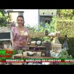 Emisija o poljoprivredi : : AgroJug specijal :: Poljoprivreda 2025 : : : 2452 ::: 26-10-2025